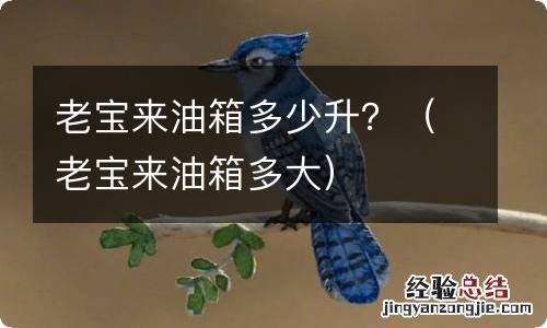 老宝来油箱多大 老宝来油箱多少升？
