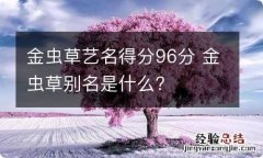 金虫草艺名得分96分 金虫草别名是什么?