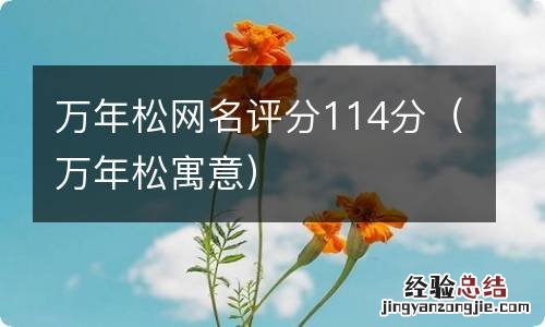 万年松寓意 万年松网名评分114分