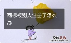 商标被别人注册了怎么办