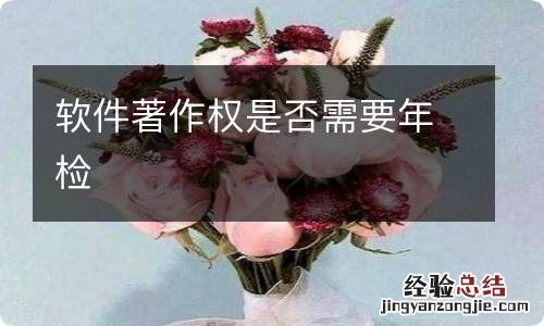 软件著作权是否需要年检