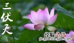 头伏怎么来的 头伏介绍