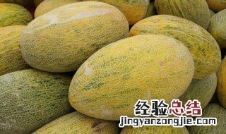 哈蜜瓜种植方法 哈蜜瓜种植方法介绍