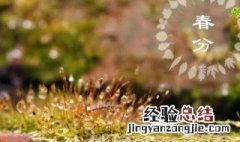 结婚要避开24节气 春分可以结婚吗