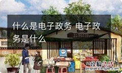 什么是电子政务 电子政务是什么