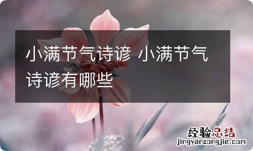 小满节气诗谚 小满节气诗谚有哪些