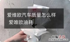 爱维欧汽车质量怎么样 爱唯欧油耗