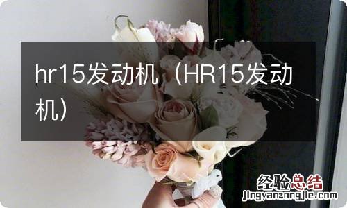 HR15发动机 hr15发动机