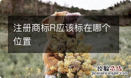 注册商标R应该标在哪个位置