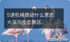 5速机械自动什么意思 大深沟生态景区