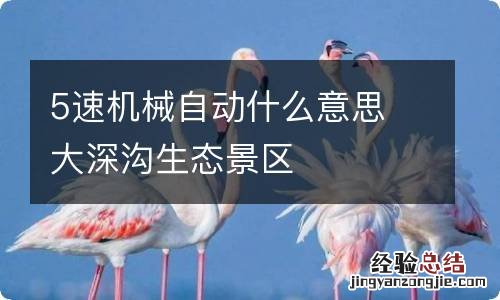 5速机械自动什么意思 大深沟生态景区