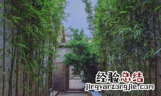 屋顶种竹子的禁忌 屋顶种竹子好不好