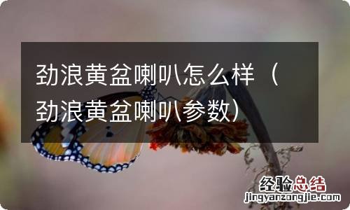 劲浪黄盆喇叭参数 劲浪黄盆喇叭怎么样