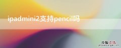 ipadmini支持pencil二代吗 ipadmini2支持pencil吗