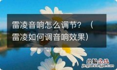 雷凌如何调音响效果 雷凌音响怎么调节？