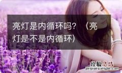 亮灯是不是内循环 亮灯是内循环吗？