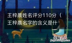 王梓晨名字的含义是什么 王梓晨姓名评分110分