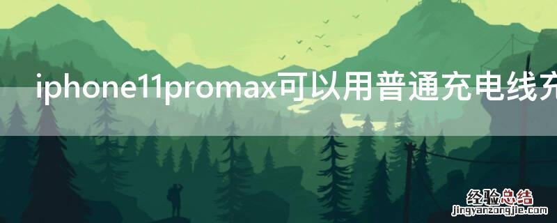 iphone12promax带充电线吗 iPhone11promax可以用普通充电线充电吗