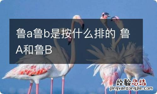 鲁a鲁b是按什么排的 鲁A和鲁B