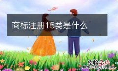 商标注册15类是什么