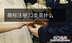 商标注册33类是什么