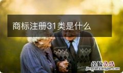 商标注册31类是什么