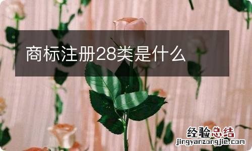 商标注册28类是什么