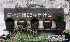 商标注册26类是什么