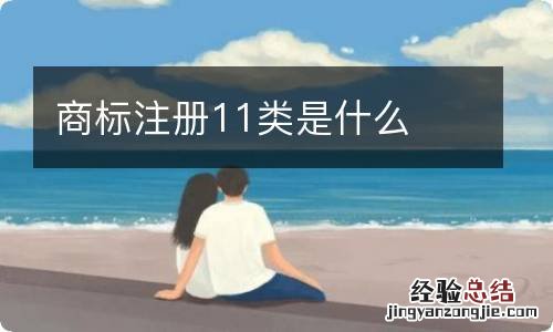 商标注册11类是什么