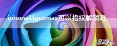 iPhone11promax可以指纹解锁吗 iphone11pro有指纹解锁吗