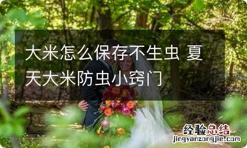 大米怎么保存不生虫 夏天大米防虫小窍门