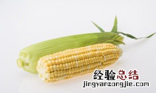 生的水果玉米可以生吃吗 水果玉米可以生吃吗