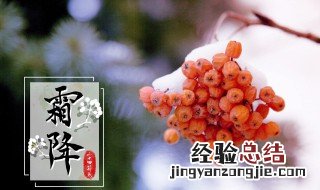 霜降文案简短 霜降的文案