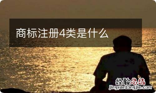 商标注册4类是什么
