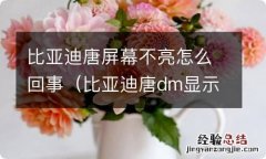 比亚迪唐dm显示屏不亮了怎么回事 比亚迪唐屏幕不亮怎么回事