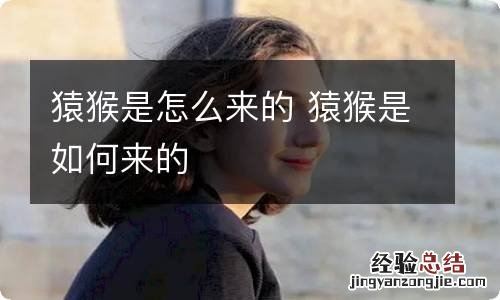 猿猴是怎么来的 猿猴是如何来的