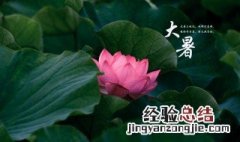 大暑节气特点 大暑节气有哪些特点