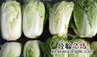 白菜保存技巧 白菜保存技巧图解