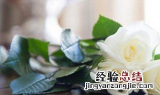 玫瑰花语颜色代表什么 玫瑰花颜色寓意