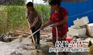 水蛭养殖前景如何 水蛭养殖前景怎么样