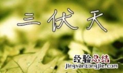 什么时候起头伏 头伏时间介绍