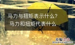 马力与扭矩表示什么？ 马力和扭矩代表什么