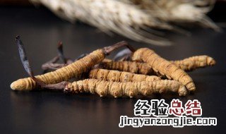 虫草可以放冰箱吗 虫草需要放冰箱吗