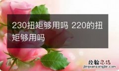 230扭矩够用吗 220的扭矩够用吗