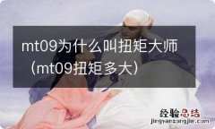 mt09扭矩多大 mt09为什么叫扭矩大师