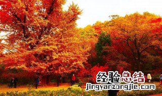 现在香山红叶什么时间最红 香山红叶什么时间最红