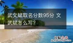 武文斌取名分数95分 文武斌怎么写?