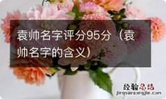 袁帅名字的含义 袁帅名字评分95分