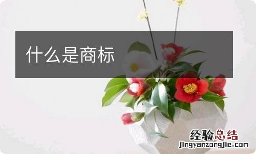 什么是商标