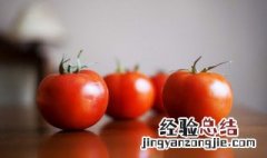 西红柿能放冰箱冷藏吗 黄瓜西红柿能放冰箱冷藏吗